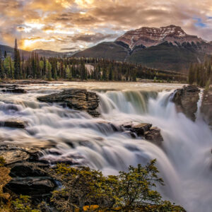 Athabasca Falls Blend