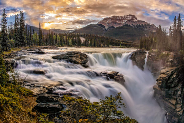 Athabasca Falls Blend
