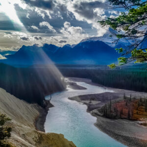 Athabasca River Blend